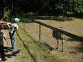 Zoo Cottbus 157